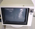 Fujitsu  Monitor